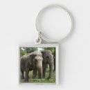 Search for asian key rings Animals