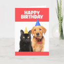 Search for black labrador puppy cards Funny