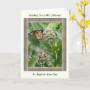 Search for butterfly get well cards Flowers