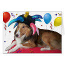 Search for gizmo Birthday