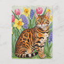 Search for bengal cats postcards Cute