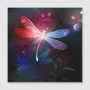 Search for dragonflies invitations Dragonfly
