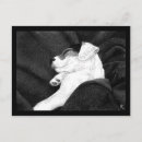 Search for terrier puppy postcards Russell