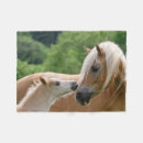 Search for childrens horse blankets For her