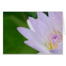 Search for yous photography Nature