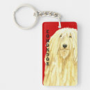 Search for mopping accessories Hungarian sheepdog
