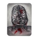 Search for cage magnets Skeleton