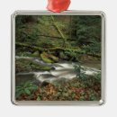 Search for on fork christmas tree decorations Landscape