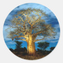 Search for moon light stickers Cloud