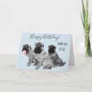 Search for pei Birthday