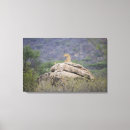 Search for kenya canvas prints Horizontal