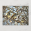 Search for chillin postcards Winter