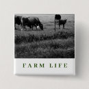 Search for farms badges Cows