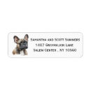 Search for bulldog return address labels Watercolor