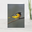 Search for baltimore cards Bird