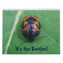 Search for coleoptera Bugs