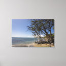 Search for waters edge canvas prints Usa
