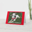 Search for breeds dogs christmas cards Pets