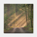 Search for sunlight magnets Nature