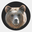 Search for bear face stickers Brown