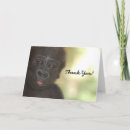 Search for gorilla thank you cards Nature