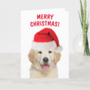 Search for golden retriever christmas cards Cute