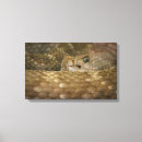 Search for snake canvas prints Reptile