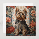 Search for yorkie lover cards Yorkshire terrier