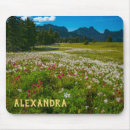 Search for lilly mousepads Lily