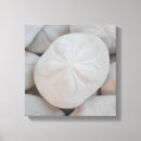 Search for dollar art Sand