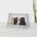 Search for grey dog cards Adorable