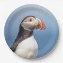 Search for puffin plates Animal
