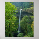 Search for cascade art Ie