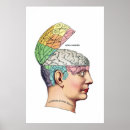 Search for funny psychology posters Brain