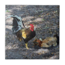 Search for chick tiles Rooster