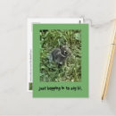 Search for hopping postcards Bunny
