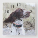 Search for doggy clocks Cute