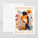 Search for oriole postcards Maryland