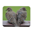 Search for mourning magnets Dove