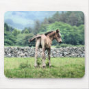 Search for foals mousepads Animals
