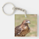 Search for tail feather key rings Wildlife