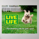 Search for funny running posters Joke