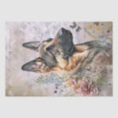 Search for german shepherd tissue paper Animal