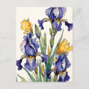 Search for iris flower postcards Nature