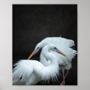Search for printable posters Black and white