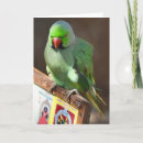 Search for singer cards Photography