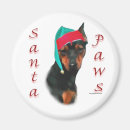 Search for pinscher magnets Animals