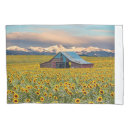 Search for barn pillowcases Field