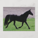 Search for arabians postcards Arabs