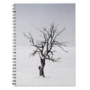 Search for bare notebooks Tree
